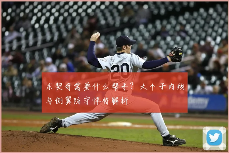 东契奇需要什么帮手？大个子内线与侧翼防守悍将解析