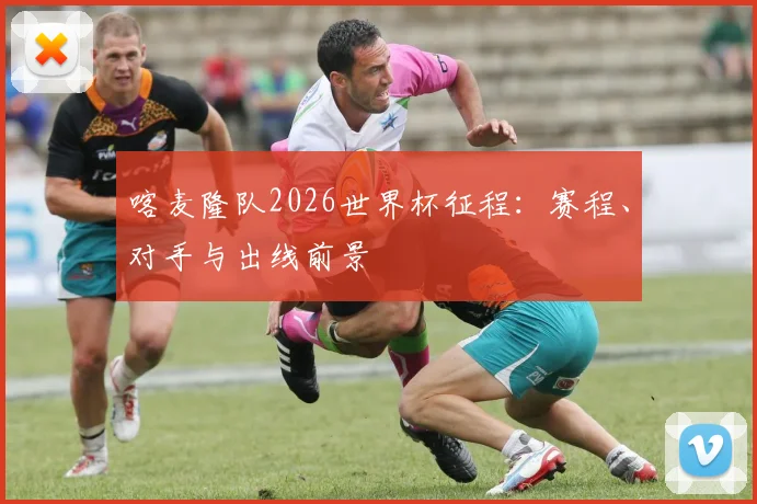 喀麦隆队2026世界杯征程：赛程、对手与出线前景